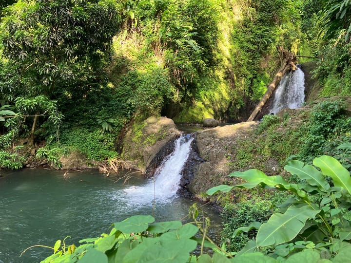 June - December 2025